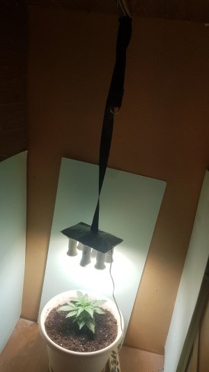 20220407_184709_optimized.jpg 20220407_184709_optimized.jpg