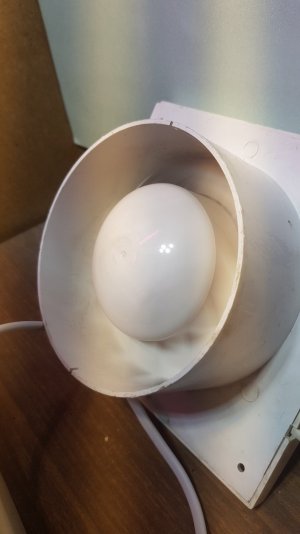 20220408_232949_optimized.jpg 20220408_232949_optimized.jpg