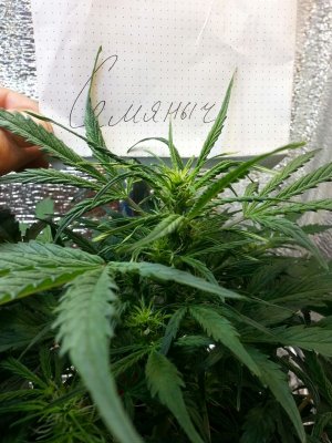 20220410_101110.jpg 20220410_101110.jpg