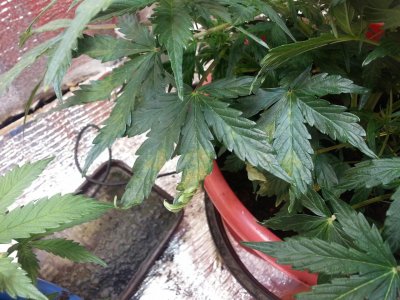 20220411_092639.jpg 20220411_092639.jpg