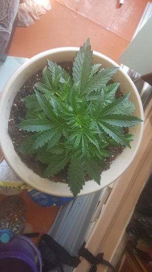 20220411_125356_optimized.jpg 20220411_125356_optimized.jpg