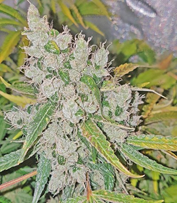 1649764746290.png 1649764746290.png