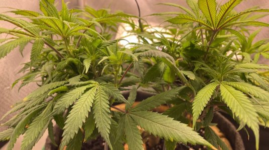 12.04 полив.jpg 12.04 полив.jpg