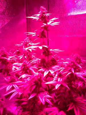 IMG_2022-04-14-08-12-47-078.png IMG_2022-04-14-08-12-47-078.png