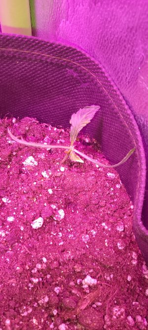 1000003065.jpg 1000003065.jpg