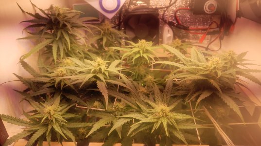 2025-05-11 141107.jpg