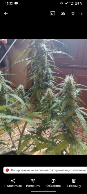 Screenshot_20250518-152259.png Screenshot_20250518-152259.png