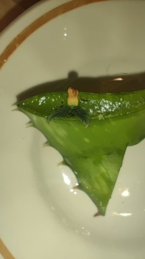 1000365382.jpg 1000365382.jpg