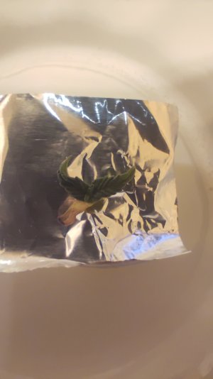 1000365395.jpg 1000365395.jpg