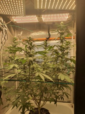 20250523_204738.jpg 20250523_204738.jpg