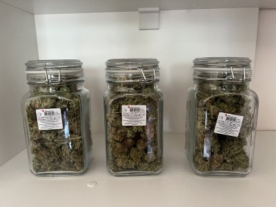 IMG_7086.jpeg IMG_7086.jpeg