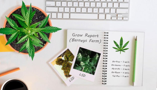 1748425167469.png 1748425167469.png