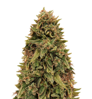 1748442186016.png 1748442186016.png