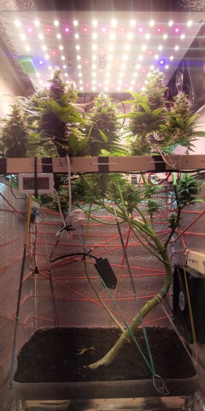 P50530-194747 (1).jpg