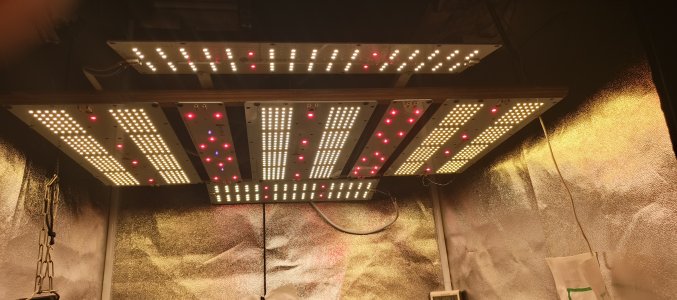 IMG_20250601_181113_308.jpg IMG_20250601_181113_308.jpg