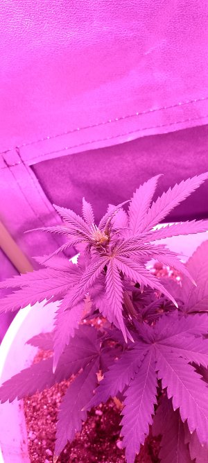 1000003864.jpg 1000003864.jpg