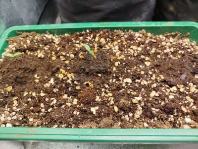 1000003924.jpg 1000003924.jpg