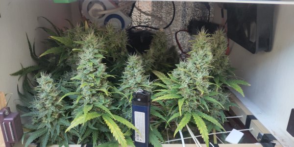 P50608-195932 (1).jpg