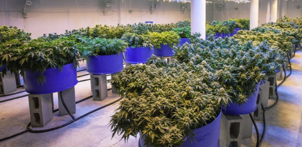 1749827979363.png 1749827979363.png