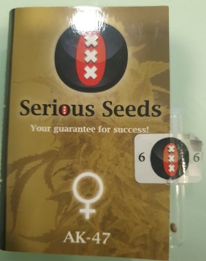 20250616_201643.jpg 20250616_201643.jpg