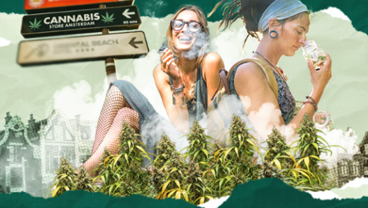 1750240175087.png 1750240175087.png