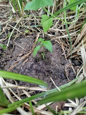 1000007956.jpg 1000007956.jpg