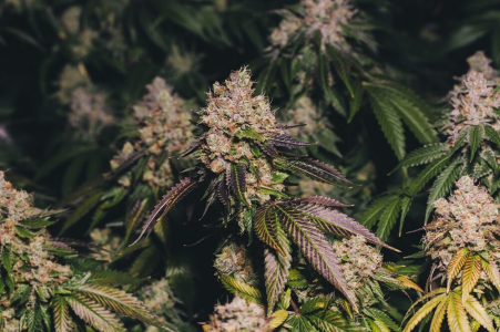 1750964644587.png 1750964644587.png