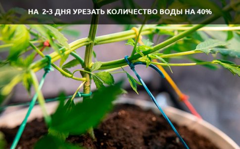 posle-trenirovok__LhpD582M3SOJVfiO.jpg posle-trenirovok__LhpD582M3SOJVfiO.jpg