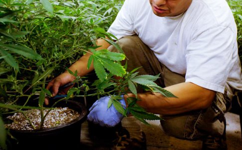 Master-grover__xAcKLZUokP1sgm5I.jpg Master-grover__xAcKLZUokP1sgm5I.jpg