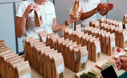 Ambassador-brenda__dEEvhd1ek65U6K88.jpg Ambassador-brenda__dEEvhd1ek65U6K88.jpg