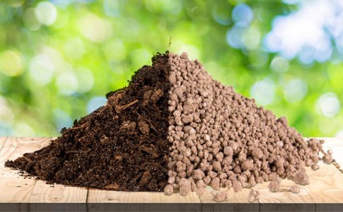 otlichiya-organicheskih-udobrenij-ot-mineralnyh__6AKrcUK5SZtSbXTo.jpg otlichiya-organicheskih-udobrenij-ot-mineralnyh__6AKrcUK5SZtSbXTo.jpg