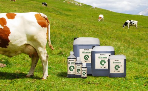 obzor-organicheskih-udobrenij-dlya-vyrashchivaniya-kannabisa__oigzURCvVUDw4NxU.jpg obzor-organicheskih-udobrenij-dlya-vyrashchivaniya-kannabisa__oigzURCvVUDw4NxU.jpg