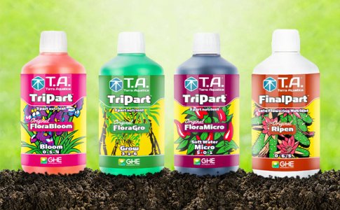 Terra-Aquatica__JbKvwset1OsJSN14.jpg Terra-Aquatica__JbKvwset1OsJSN14.jpg