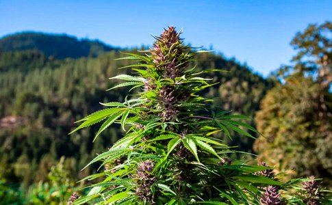 Neprihotlivost-v-uhode__OivFYfIunGg9am85.jpg Neprihotlivost-v-uhode__OivFYfIunGg9am85.jpg