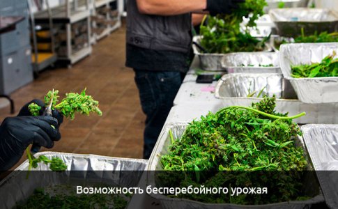 Vozmozhnost-konvejernogo-proizvodstva__XfnW3H56FPMvmXFM.jpg Vozmozhnost-konvejernogo-proizvodstva__XfnW3H56FPMvmXFM.jpg