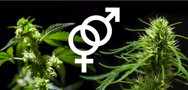 1752077569401.png 1752077569401.png