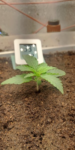 P50710-163753 (1) (1).jpg