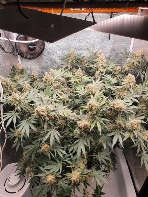 20230811_200113.jpg 20230811_200113.jpg