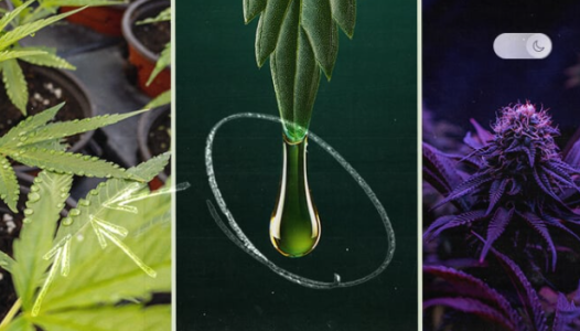 1753195933701.png 1753195933701.png