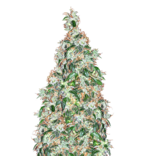 1753615234555.png 1753615234555.png