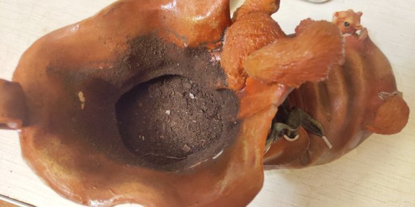 P50731-232215 (1).jpg P50731-232215 (1).jpg