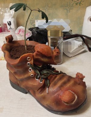 P50731-233609 (1)(1)(1)(1)(1).jpg P50731-233609 (1)(1)(1)(1)(1).jpg