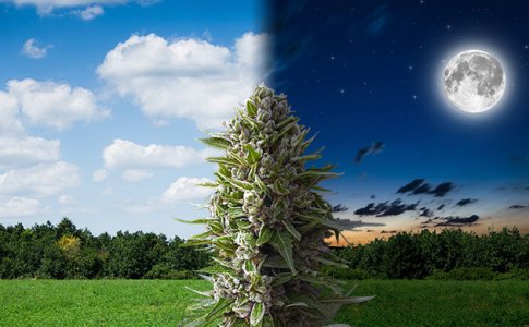 biologicheskie-cikly__ghgiXwcz62zjvUfE.jpg biologicheskie-cikly__ghgiXwcz62zjvUfE.jpg