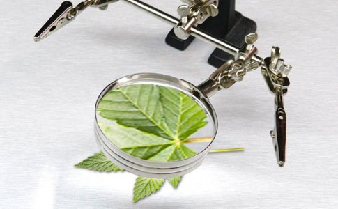 Ruchnye-i-yuvelirnye-lupy__Xj2AwmgYrUyQIdY6.jpg Ruchnye-i-yuvelirnye-lupy__Xj2AwmgYrUyQIdY6.jpg