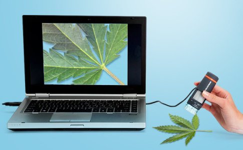 Ruchnye-cifrovye-mikroskopy__lHrNILHoigkUCp7i.jpg Ruchnye-cifrovye-mikroskopy__lHrNILHoigkUCp7i.jpg