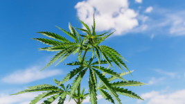 1754304752680.png 1754304752680.png