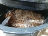 20250808_110031.jpg 20250808_110031.jpg