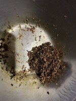 IMG_0184.jpeg IMG_0184.jpeg