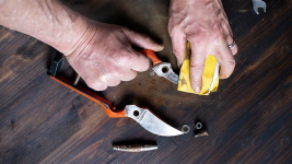 1754827685021.png 1754827685021.png