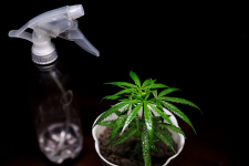 1754827848414.png 1754827848414.png